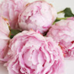 Meet your Posher, Millie